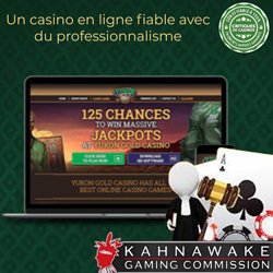 casino en ligne profesionnalisme